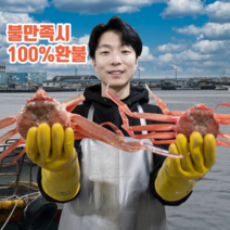 [기봉수산] 국산대게 박달대게 명품대게 당일 수확 당일배송 선주 직배송, 국산 명품대게 중 3마리