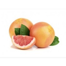 [허니솝] 보존제(항산화제) 모음 ( 비누 화장품 DIY 재료), K78. 자몽씨추출물(GSE) 30ml