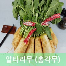 알타리무 총각무 초롱무 3kg내외 2다발 발품장터