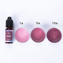 비누만들기 비누키트24 색 수지 안료 액체 DIY 양초 에폭시 금형 공예 비누 10ml, 12 L