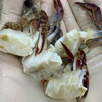 산지직송 미니 절단 꽃게 1kg, 단품없음