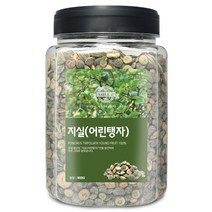 지실(국산) 800g(통) 어린탱자 열매 건강 한방 약재 차, 지실[국산] 800g[통]