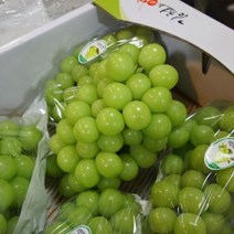 [부자농산] 고당도 프리미엄 샤인머스켓 망고포도 상주 김천 영천 경산 영동 안성 선물 세트, 가정용 샤인머스켓 1kg 2~3송이