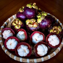 항공 직수입 프리미엄 열대 과일 생 망고스틴, 망고스틴 2kg (16-32과)