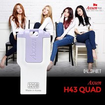 액센 H43 QUAD 4GB USB메모리 퍼플 (단자노출형), 1개