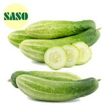 새벽시장바로배송 백다다기 오이 못난이 피클용 8kg 10kg 한박스, 백다다기 못난이 8kg