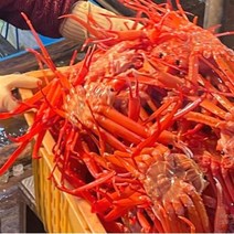 포항 구룡포 홍게 자숙 프리미엄 3kg