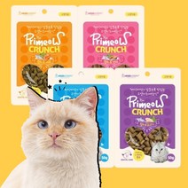 한입뚝딱 고양이 간식 트릿 크런치 참치 닭고기 연어 새우 구강관리 50g x 12개