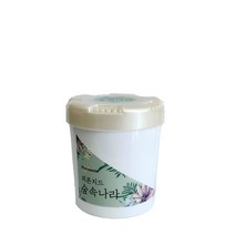 피톤치드숲속나라 피톤치드 차량용 방향제, 1개