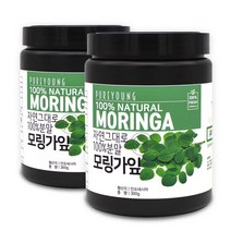 퓨어영 모링가 분말 300g, 2통