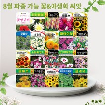 솔림텃밭몰 8월 파종 가능 꽃 야생화 씨앗 모음, 4. 테비베어 10립