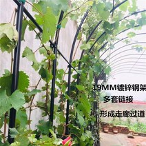 정원 가든아치 단독주택 꾸미기 철 아치 꽃 랙 포도 나무 장미 클레 마티스 브래킷 야외 식물 선반, [07]  가로 3.7미터 높이 2.2미터, [01] 큰