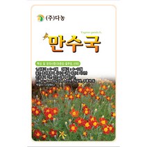 도라지꽃 3g - 야생화 씨앗 꽃씨 씨 꽃씨앗 도라지씨앗 도라지씨 다년생꽃씨 여러해살이 야생화씨 야생화씨앗 꽃, 17_다농_만수국(80립)
