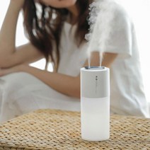 은은한조명 LED 무드 탁상용가습기 휴대용 오피스 온실 스터디카페 캠핑장 가을 안방, 듀얼제트분사 DQ110가습기 화이트(USB전원)