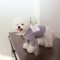 아트박스/피타 강아지 기모 맨투맨 Amused mtm C1, XL