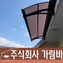 650 X 2500 출입구비가림 플라스틱처마 브라켓 렉산바 계단캐노피 주차장 차양인테리어 테라스차양막, 그린, 블루, 실버
