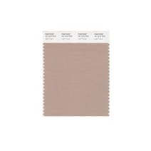 팬톤 16-1210X 스마트 컬러 스와치 카드 Light Taupe
