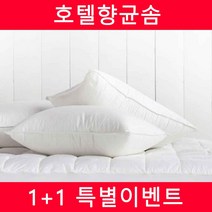 1+1 국내산솜 호텔베개솜 진드기차단(40x60/50x70) 8종택1, 05.1+1 마이크로 항균베개솜(40X60)