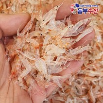 연안부두 김장새우 동백하 1kg 2kg 3kg 골라담기 김장용생새우, [2022가을]김장용 생새우 (동백하) 1kg