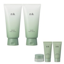 한율 한율 어린쑥 진정맑은 클렌징 폼 120g x2