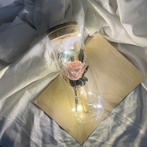 [프렌치로즈]6타입 LED 코르크 유리병 기념일 선물 꽃 편지지 세트, 핑크드라이플라워