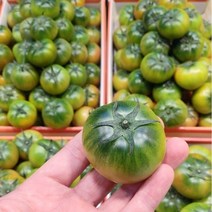 [산지에서바로] 아삭한 대저토마토 짭짤이 정품인증, 품질보증 대저토마토 M 중과 2.5kg