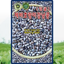 제비호랑이강낭콩 씨앗 강낭콩 씨 종자 30g, 단품