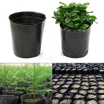 식목일행사 아보카도 대파 상추 키우기 블루베리 코알라 그루트 매직 화분 100pcs 야채 플라스틱 보육 냄비 화분 파종기 성장 시드 냄비 소프트 블랙 영양 냄비 친환경 심기, 8x8cm