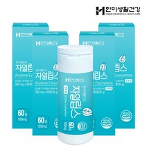 한미생활건강 자일립스 숙취해소제 먹는 구강청결제 500mg 60정, 자일립스 4개