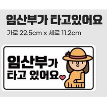 임산부 차량스티커 임신선물 알림스티커 운전실습