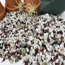 오색사 오색자갈 테라리움 바닥재, 1kg, 5~8mm