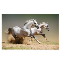 happy shopping 노을지는 바다를 달리는 말 필 승진운 3D DIY 보석십자 비즈키트 원형비즈 큐빅 선물용 집들이 십자수/ 500000319, 40x60