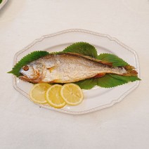 찐보리굴비 조기 선물세트 영광 굴비맛집 밀키트 간편조리 반찬 단백질 반조리 제사 5마리, 최상급 10마리(31~32cm)