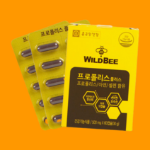 종근당건강 와일드비 프로폴리스 플러스 500mg 60캡슐 1개