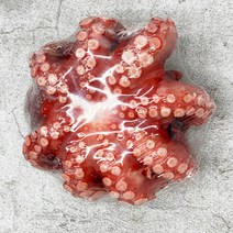 항구의남자들 제수용 자연산 자숙문어 돌문어 활문어 데친 문어, 자숙문어 1.5kg(한마리)