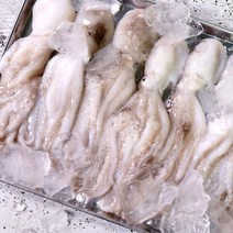 태안몰 안면도 생물 쭈꾸미 1kg 당일발송