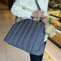 LUMANOKI 반려동물 가벼운 다용도 슬링백 이동가방 카시트 3in 1 660g, 그레이