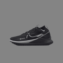 나이키 페가수스 트레일 4 GORE TEX DJ7929 001 ballon