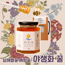 천연잡화꿀 야생화꿀 천연꿀 토종 해랑꿀 야생화 벌꿀, 380g, 1개