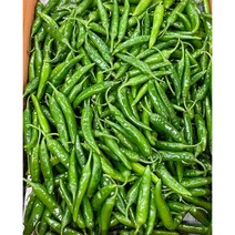 진짜 매운 청양고추 500g / 1kg / 5kg / 10kg 땡초 고추, 특품 500g