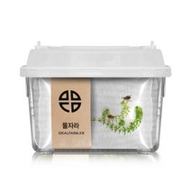 수서곤충키우기 수서 수서 곤충 수서곤충, 단품