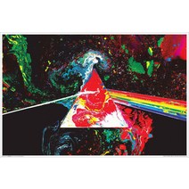 Pink Floyd Non Flocked Blacklight Poster 36