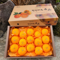 제주 제주영농원 제주도 프리미엄 천혜향 레드향 한라봉 선물용 가정용 선물세트 2kg 3kg 5kg, 가정용 3kg, 없음