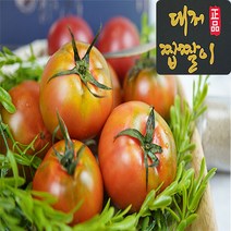 [최상등급] 부산 대저 짭짤이 토마토 정품 2.5kg, 1박스, 짭짤이토마토2.5kg 중과 (3번~4번)