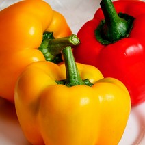 파프리카효능 친환경파프리카 파프리카농장 파프리카제철, 빨강_2.5kg