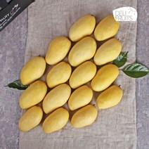 [델리후르츠] 필리핀 카라바오 생망고 5kg 16과 선물세트, 단품, 상세설명 참조