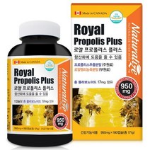 로얄프로폴리스 플러스, 상세페이지 참조, 상세페이지 참조, 상세페이지 참조