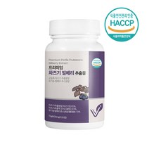 눈건강 차즈기추출물 600mg 120정 유기농 빌베리 차조기 잎 25배 고농축 말린 차지기 자소엽 루테올린 국산 식약처 식약청 인정 인증, 눈엔차즈기600mgx120정1set