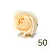 파스텔크래프트 3겹 비누장미, *크림색*꽃대 미포함 (50개입) A-11-301