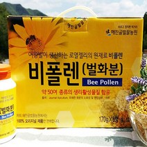 해찬골 농원 100% 국내산 천연 프리미엄 비폴렌 30가지 꽃에서 채취한 벌 화분 170g 2병, 2개